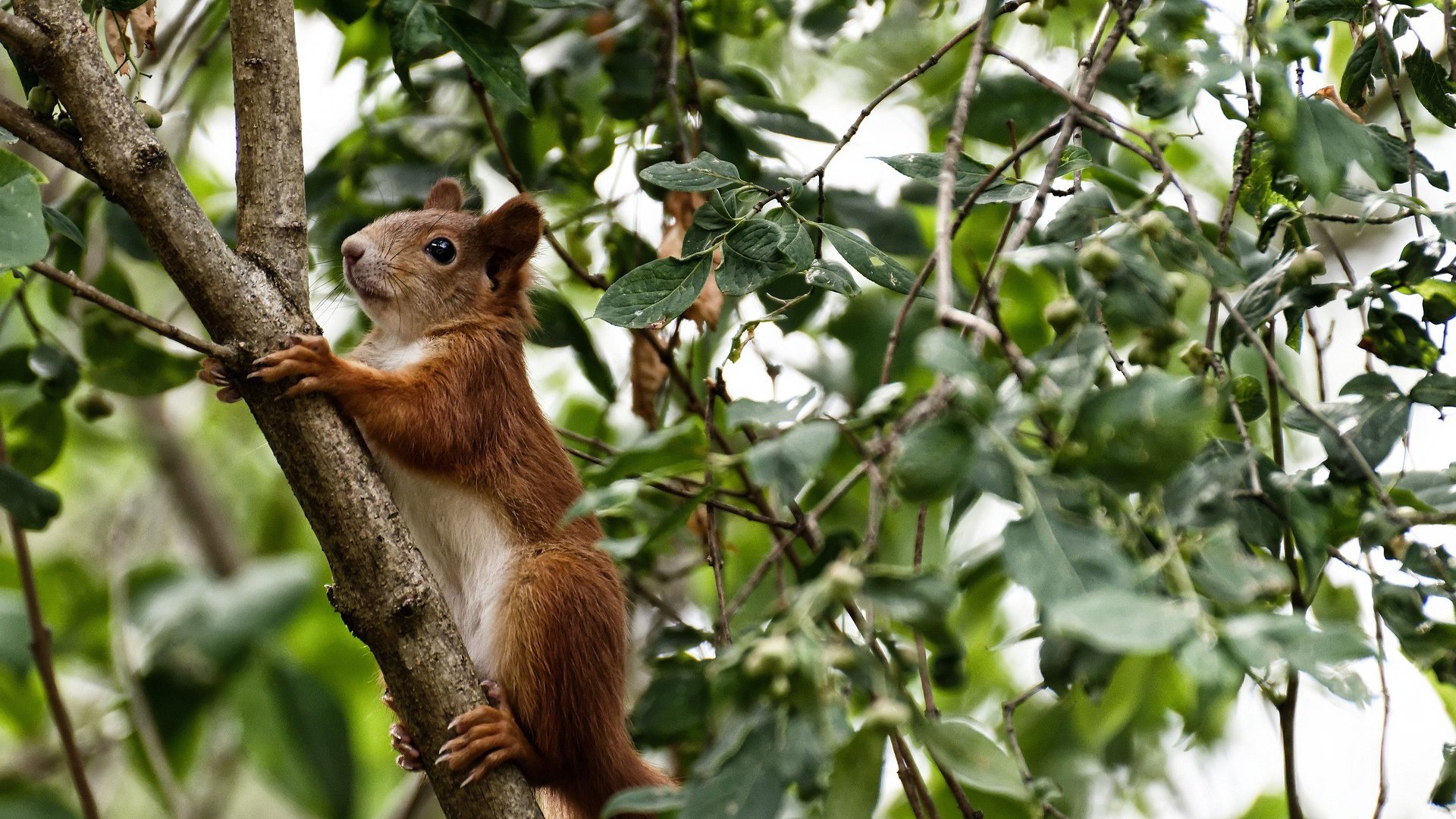 九游体育官网入口-兴隆湖赛场：“生态+赛事”示范典范