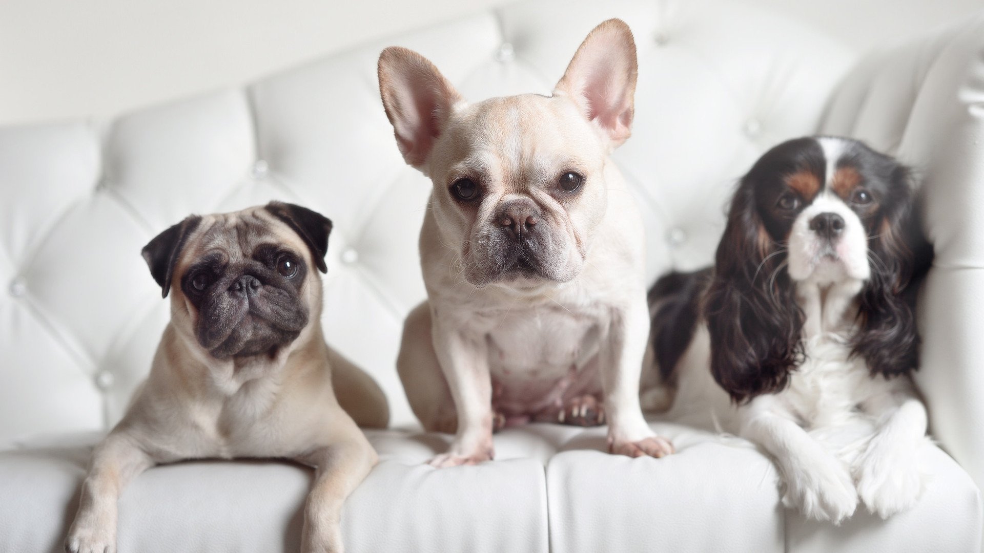 九游官网入口-南特边后卫插上助攻频率提升,南特主场球衣