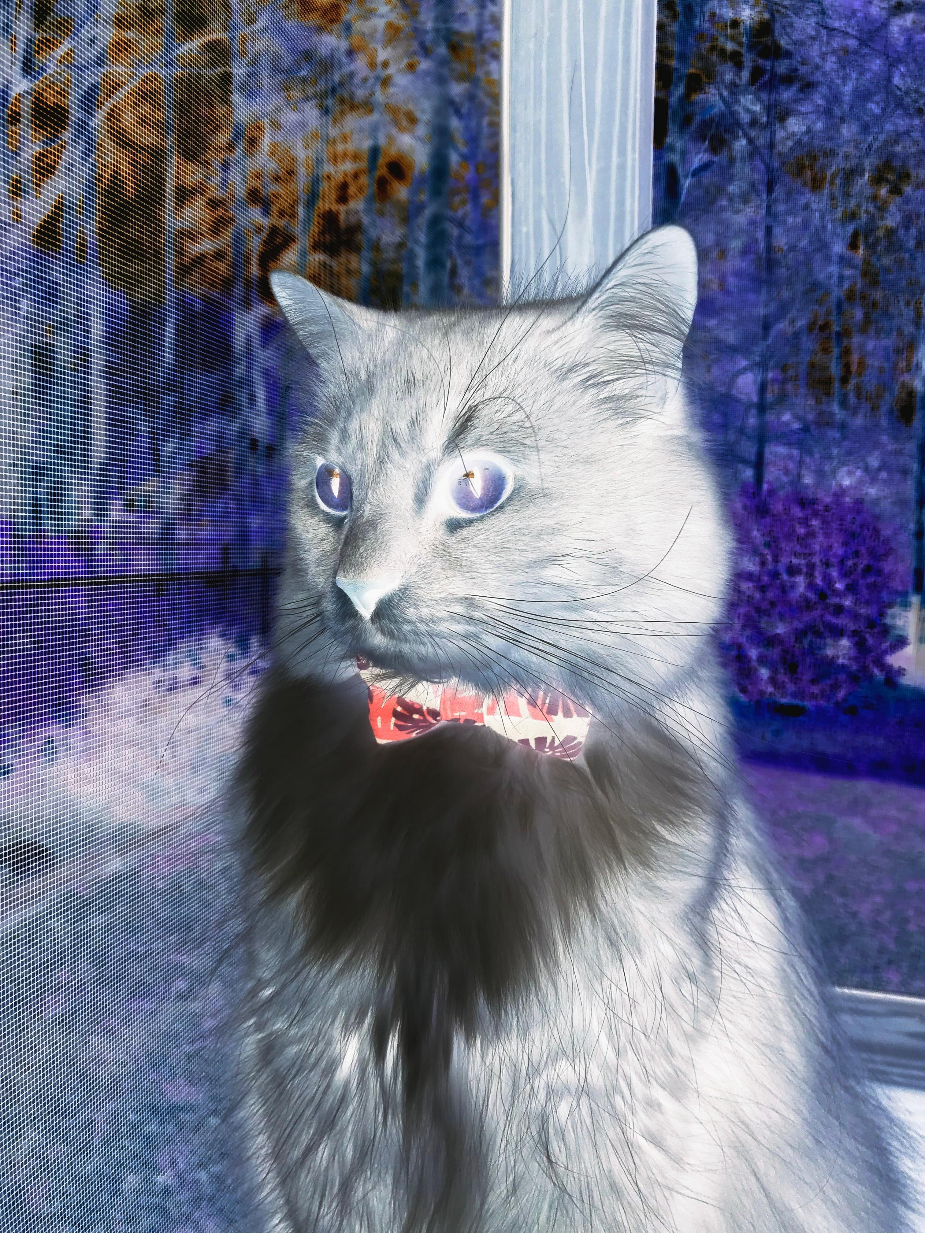 九游.中国官网-马洛卡多次抢断切断对方进攻线路,马洛卡队