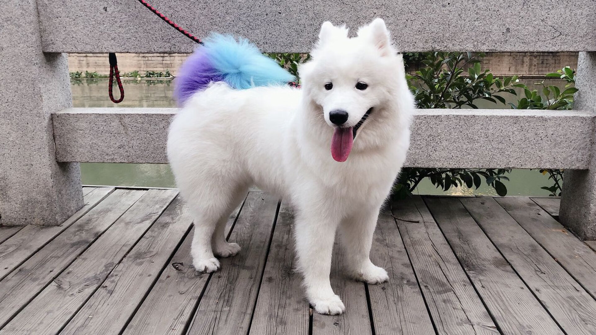 九游.中国官网-马洛卡多次抢断切断对方进攻线路,马洛卡队