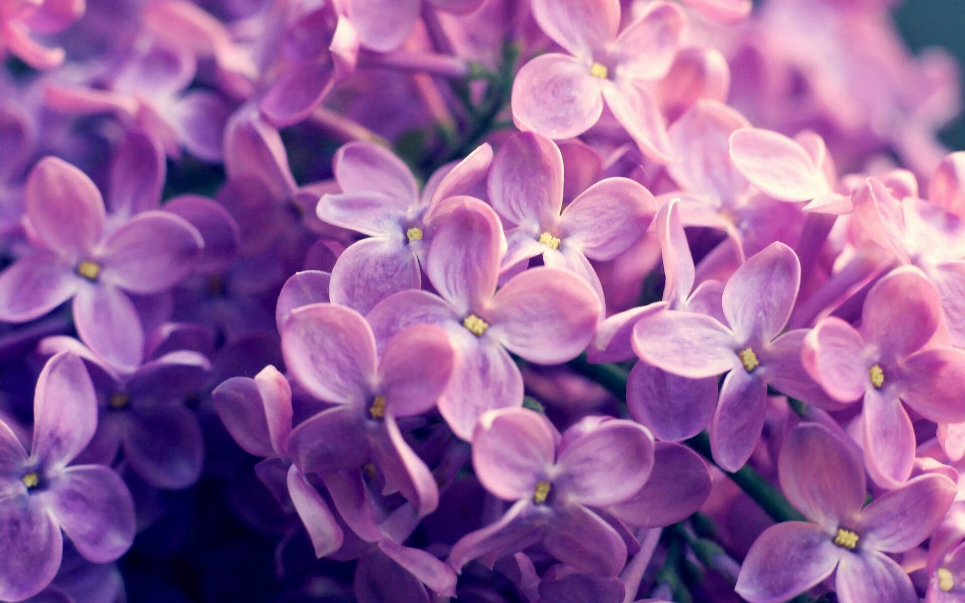 九游.中国官网-马洛卡多次抢断切断对方进攻线路,马洛卡队