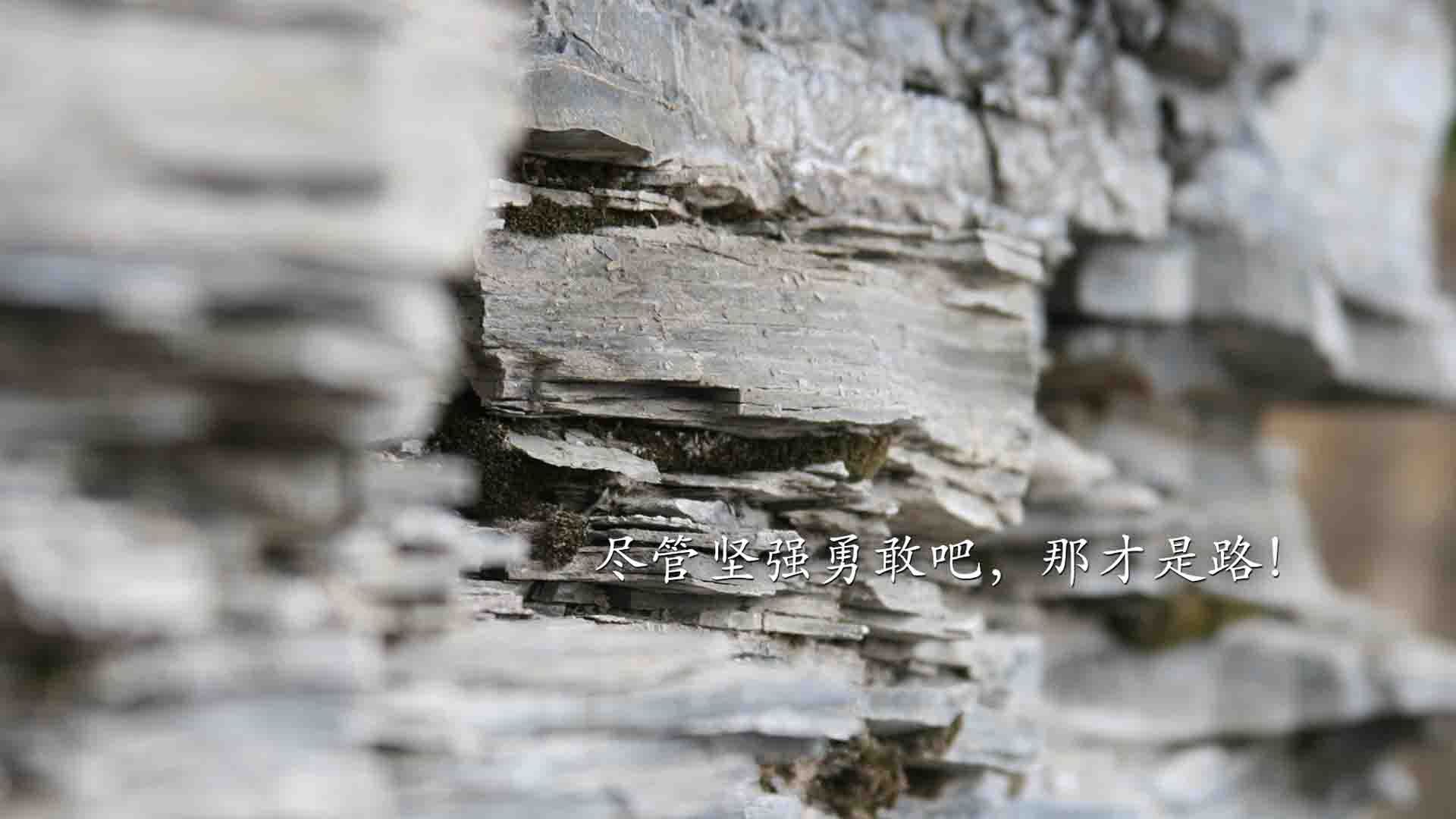 九游体育-乒乓球技术分析系统投入实战测试,乒乓球技战术数据分析平台