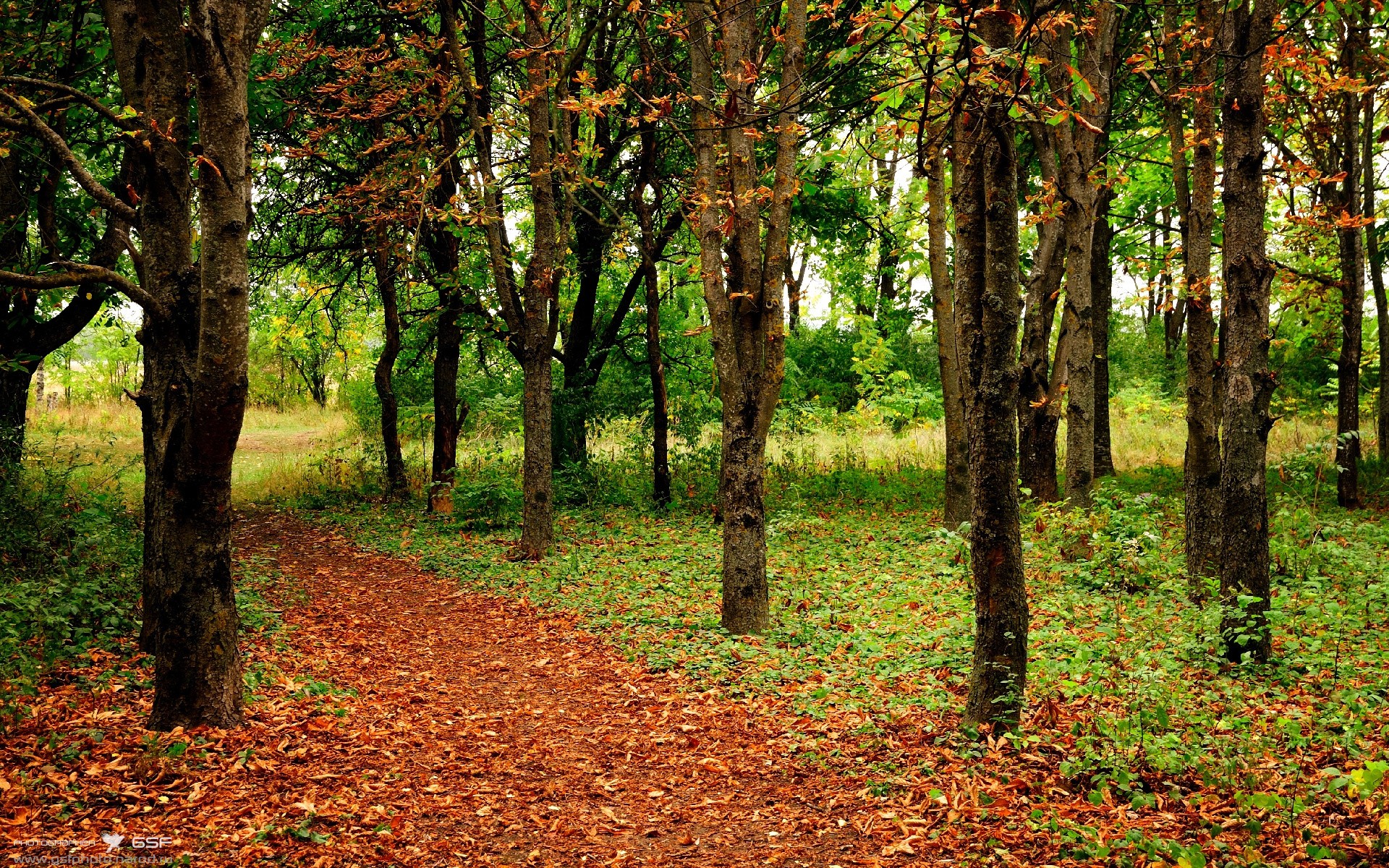 九游娱乐下载-国家棒球队发布国家集训队名单及集训时间公告，国家队棒球运动员
