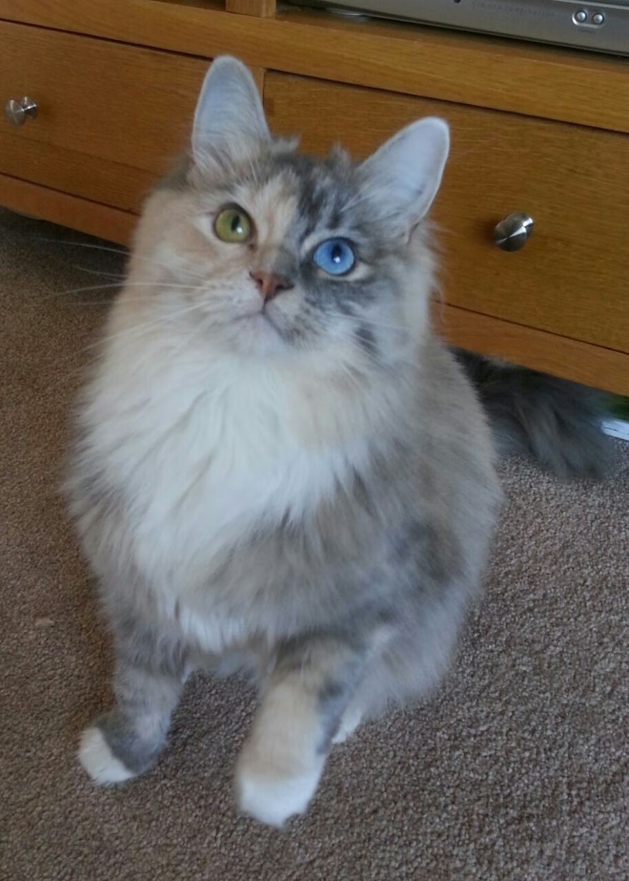 九游体育官网入口-多位运动员社交媒体互动拉近与粉丝距离扩大影响力，运动员应对媒体的策略